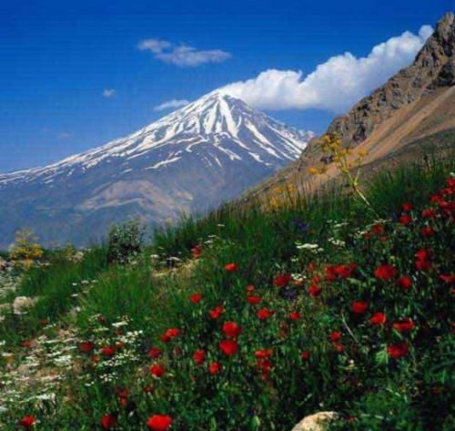 چیاکو برو ولام بی معرفت آخه چنی جوانی