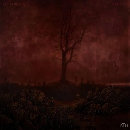 فاما ریمیکس داراب