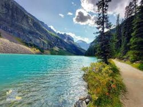  سنگ صبور قلبم بی تو شدم بی همدم