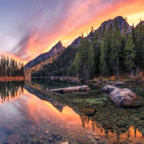 سنیور پارسا موو ایت
