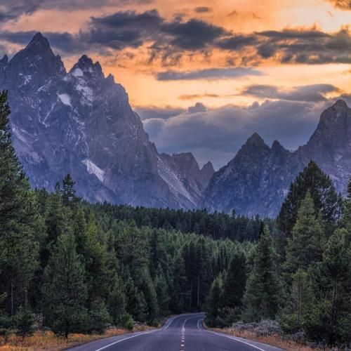 سنیور پارسا آمور