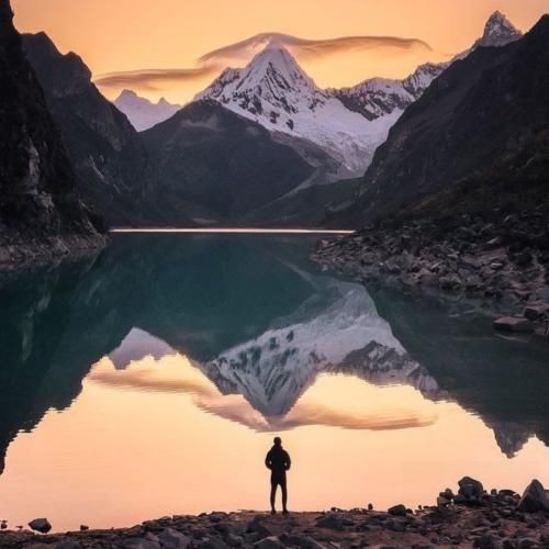 سنیور نوشمک