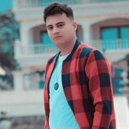 رامین کرمی دلم گرگی بی چویلد رامین کرد