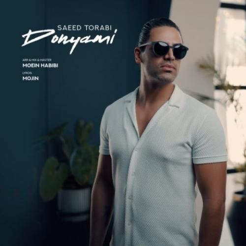 سعید ترابی دنیامی