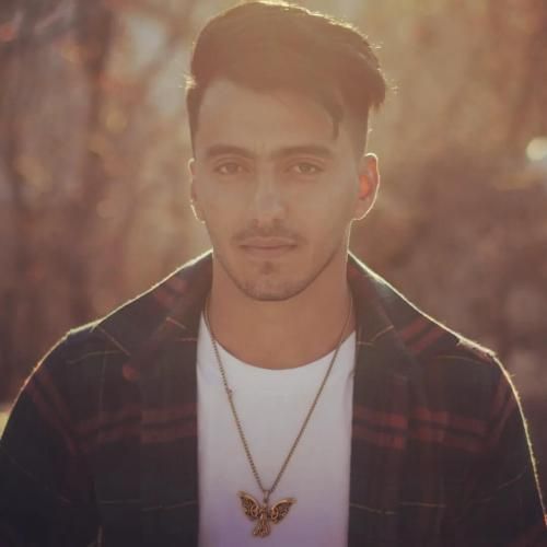 محمد نجف پور خاطرخواه و جنون