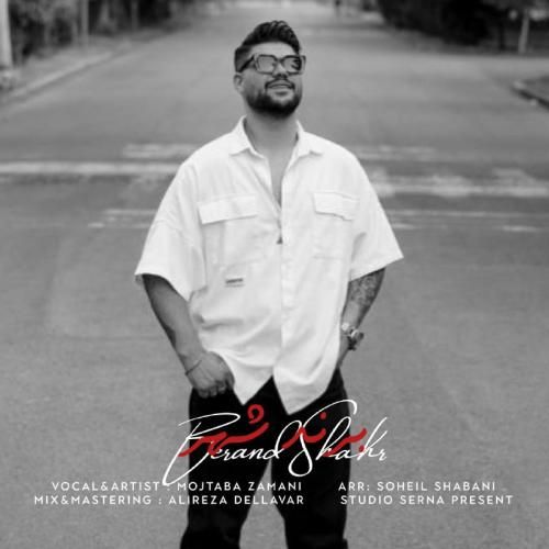 مجتبی زمانی برند شهر