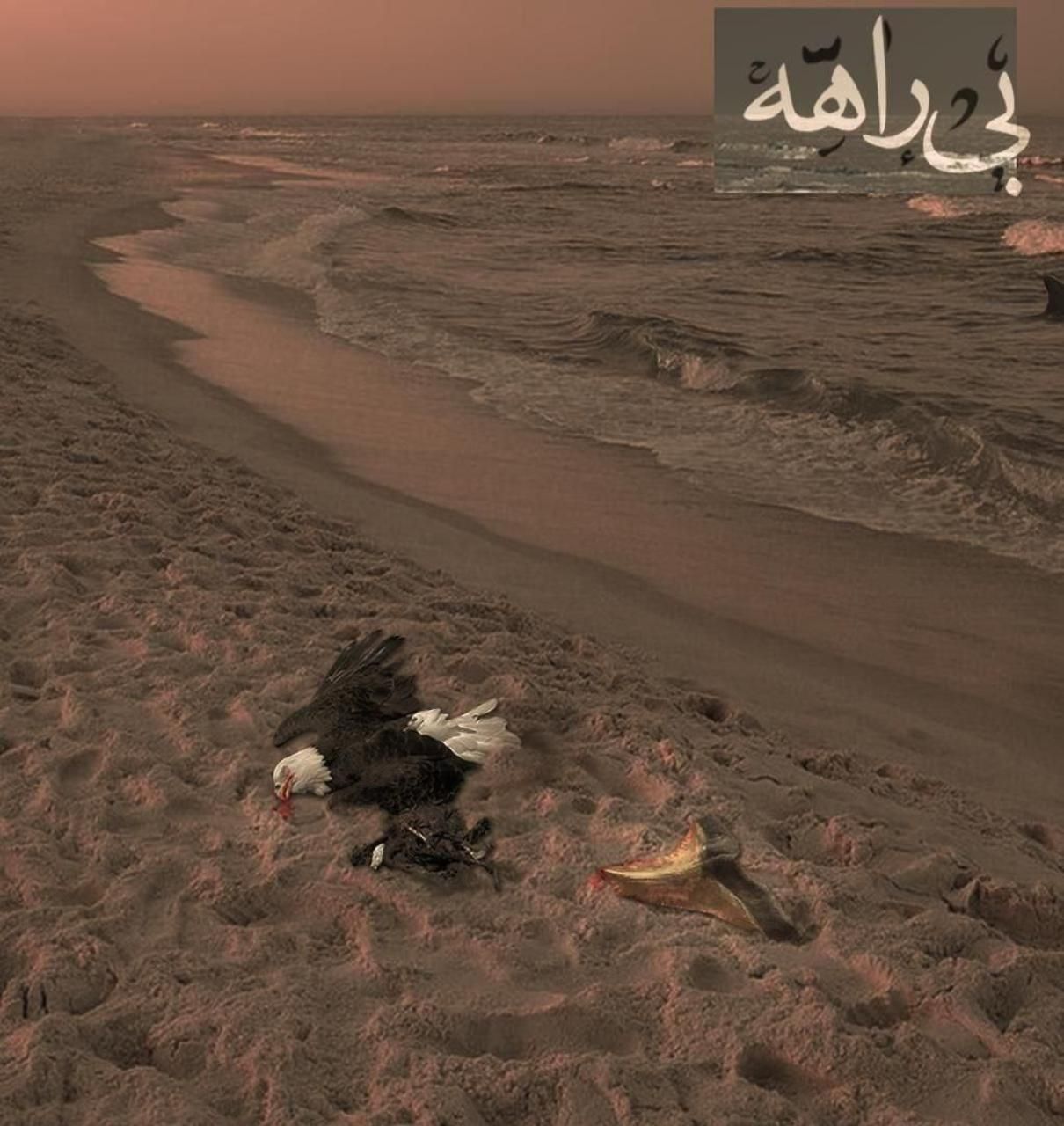 مهدیار بی راهه