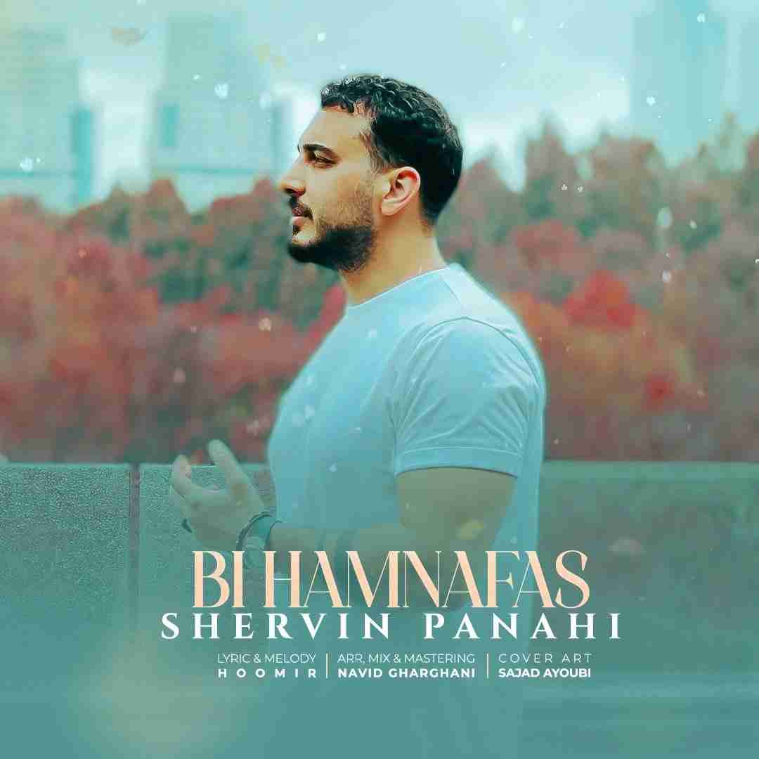 شروین پناهی بی همنفس