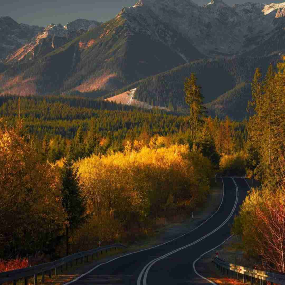 میدونم همه ی اینا تقصیر منه