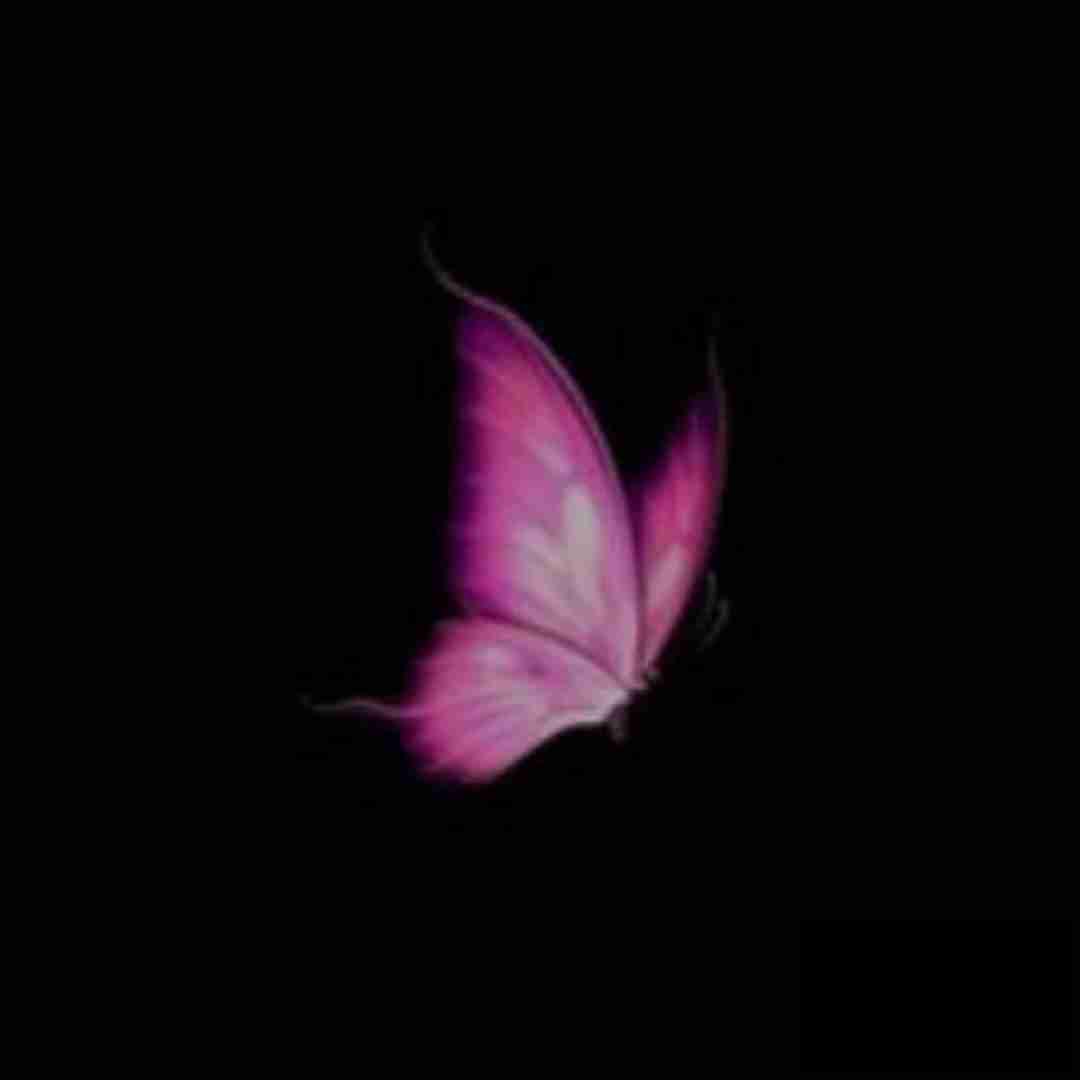  شوکی تاری به برف و باران صدای دختر کورد اینستایی