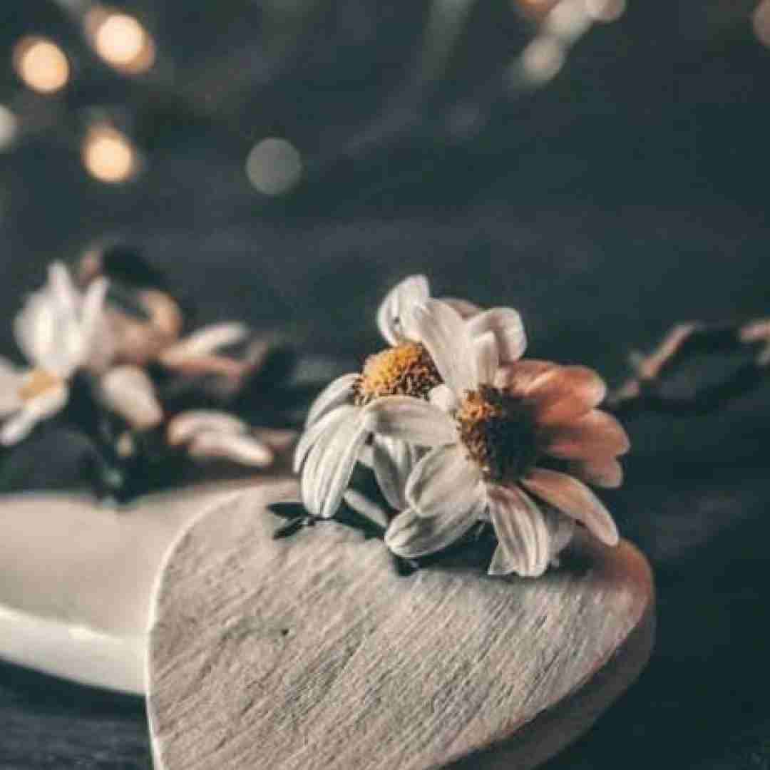  مثل پروانه دورت میگردم یادتون نره یادم کنیدا