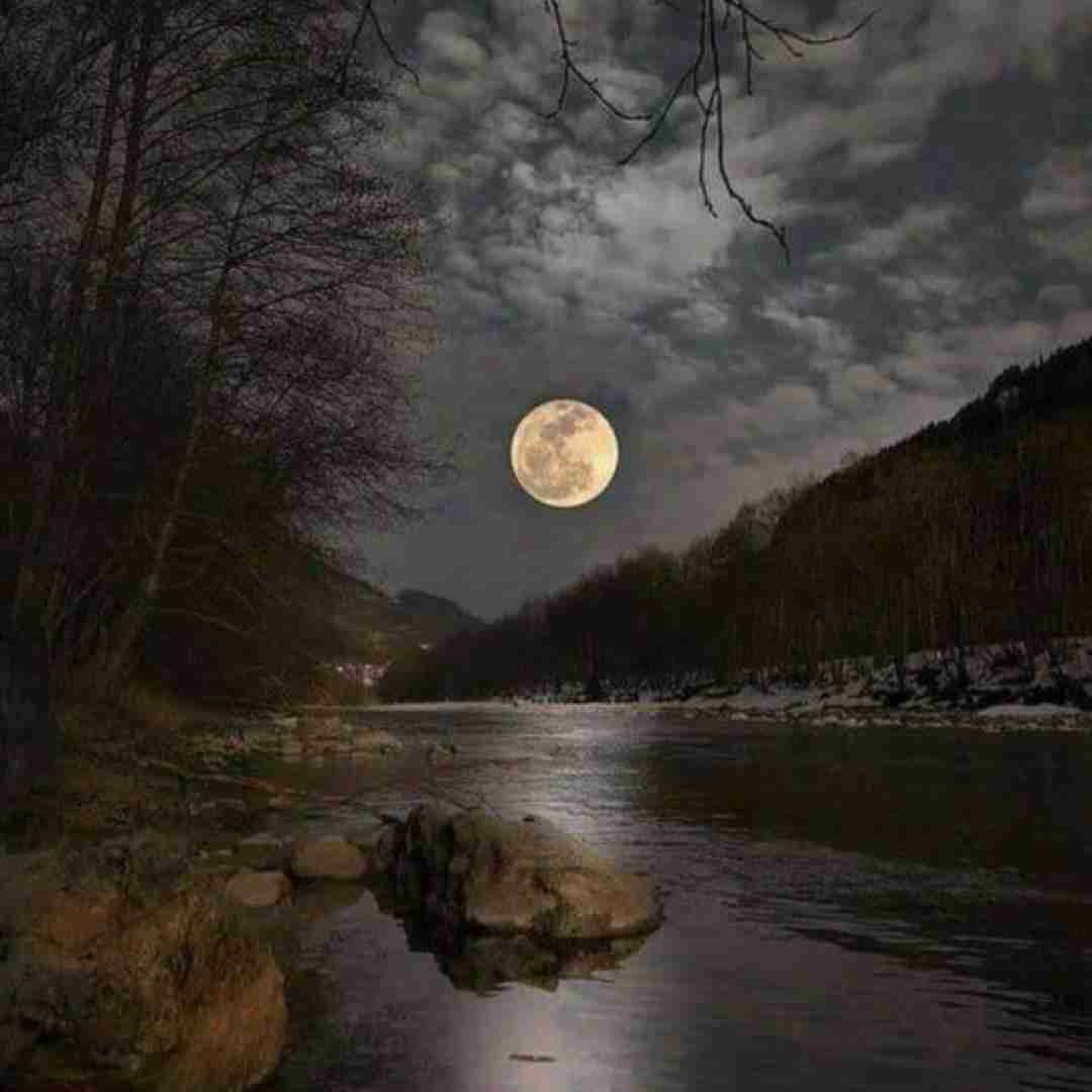 سالار اقبالی جرم جوانی