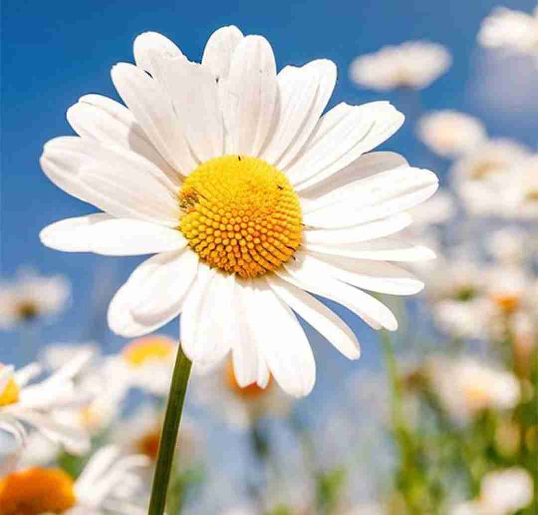  رفتی با کی بد سلیقه اینو بدون بد‌ زدی بم با صدای دختر اینستایی