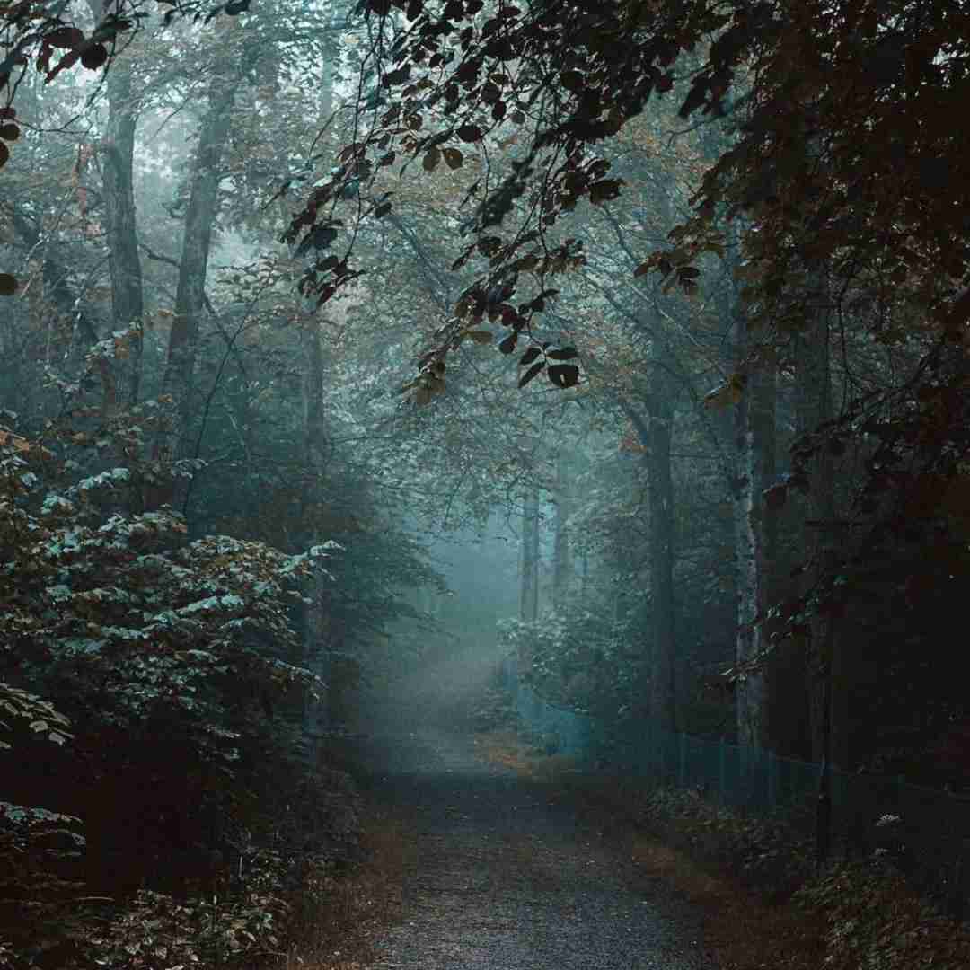  هر سری من تورو بخشیدمت بازم کارای بدتو کردی