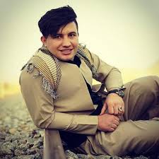 دانلود آهنگ قشنگ بی دس خوش ایول پاک بکه خوبیل دلم از علی احمدیانی