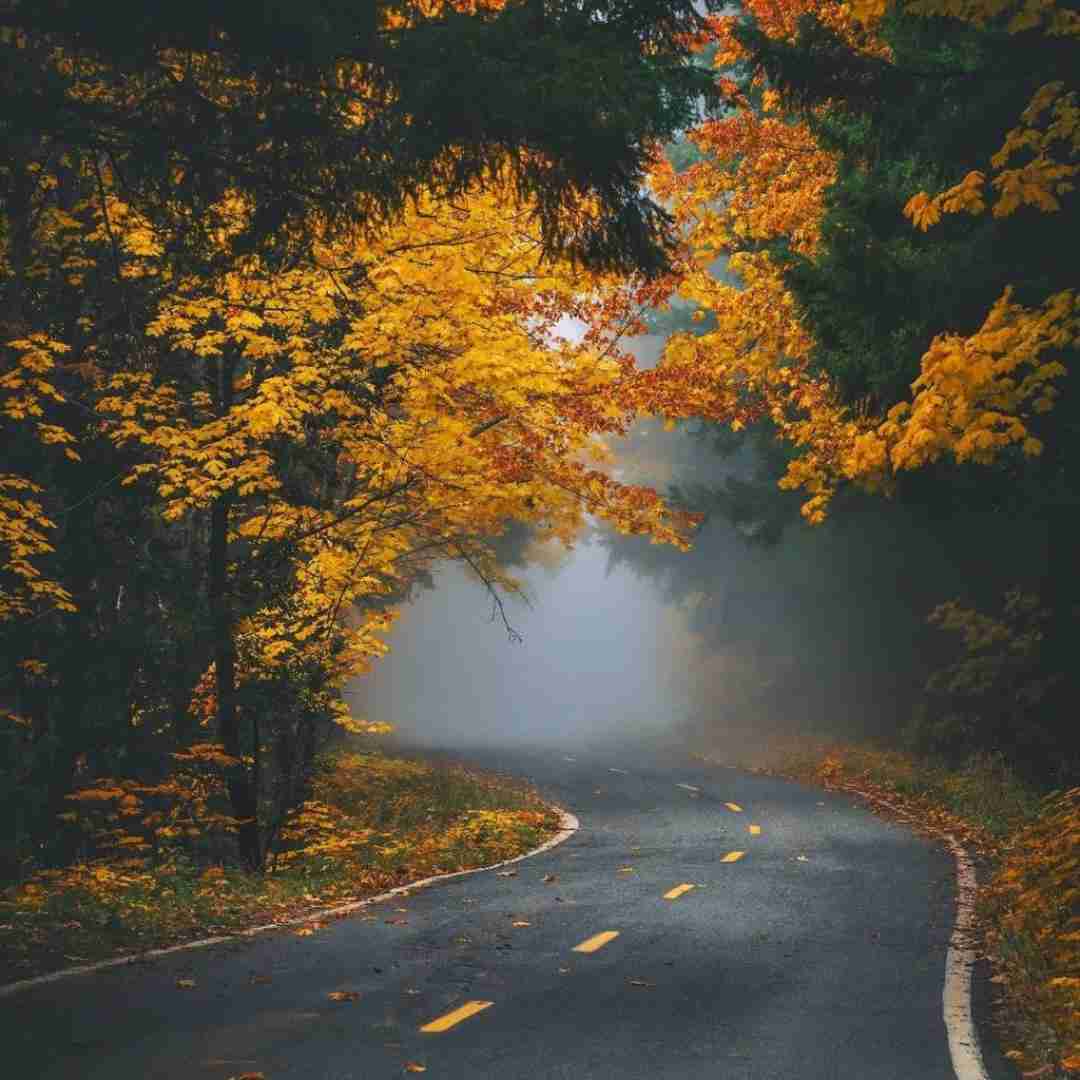 https://xx.annamusic.ir/Archive/E/Ezza/1402/Ezza%20&%20Pouria%20K%20-%20Tire.mp3 بیبی نگو دیره دیره دیره دیره باید برگردیم