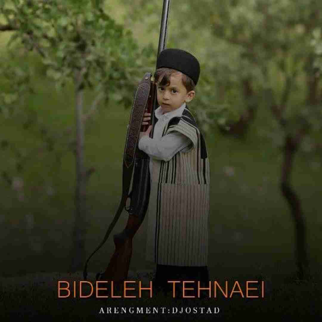 دیجی استاد بیدله تنهایی