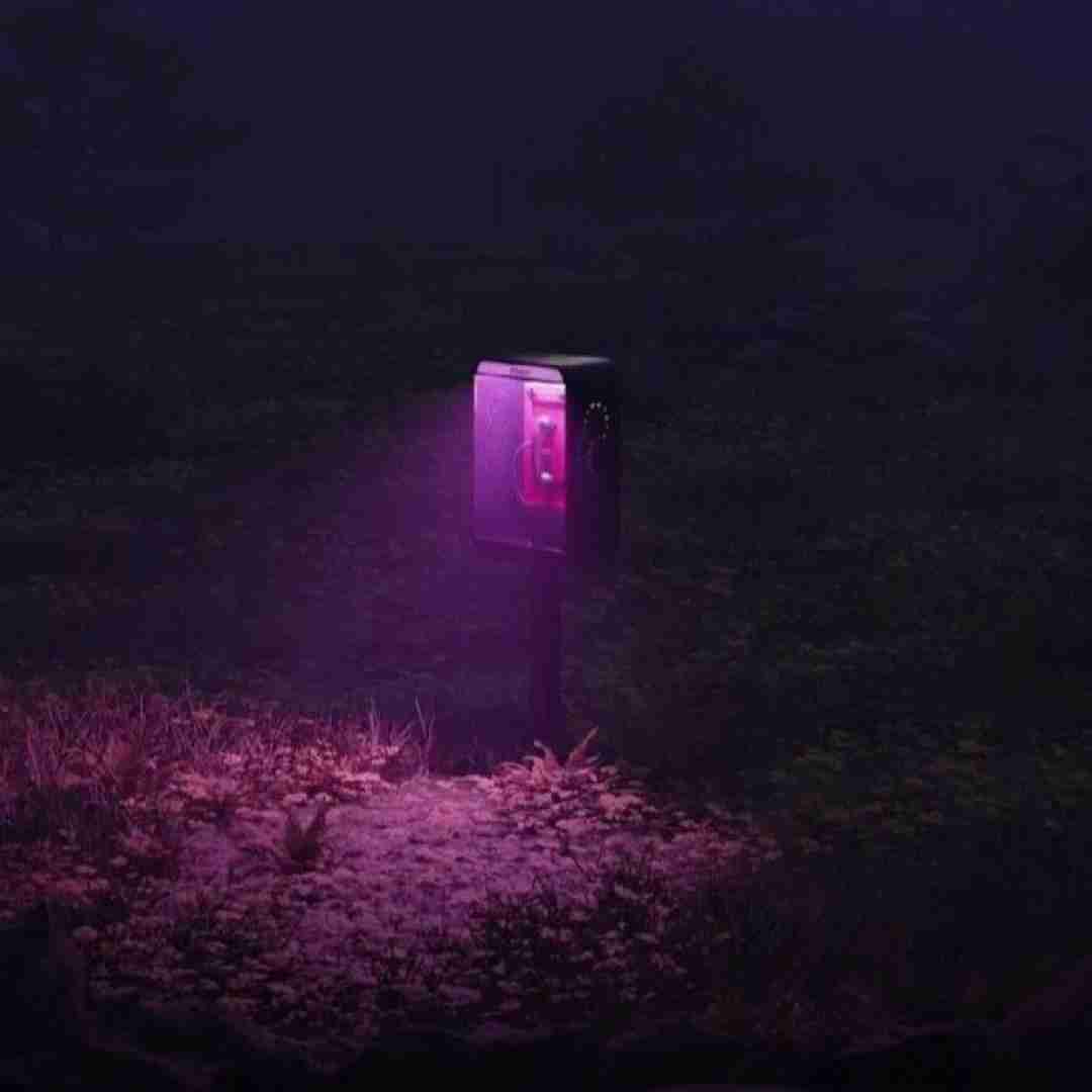 یکی برسه به دادم