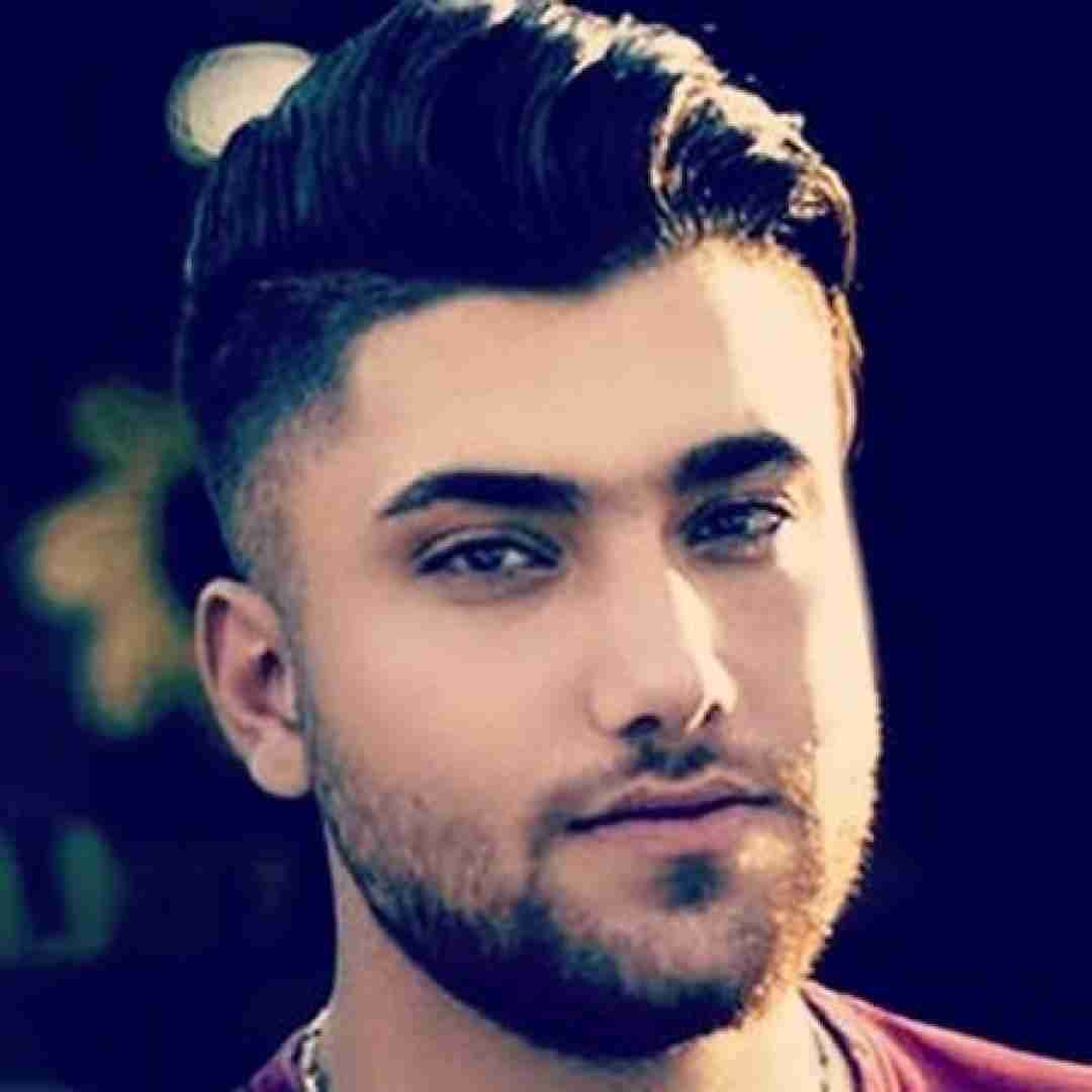 حامد سنجابی خواب راحت