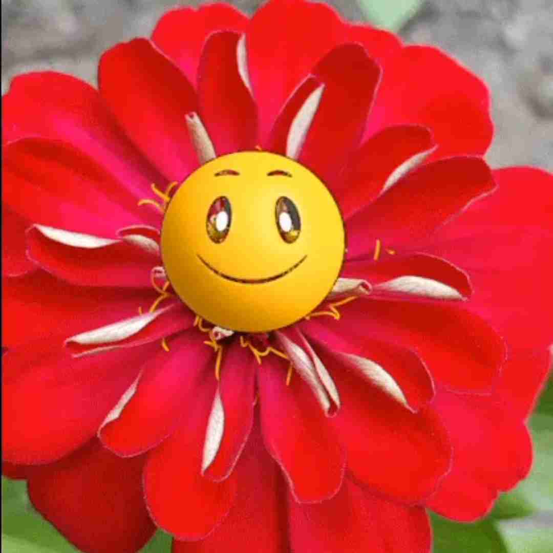 مای نیم ایز خودم ای ام بلک بورد