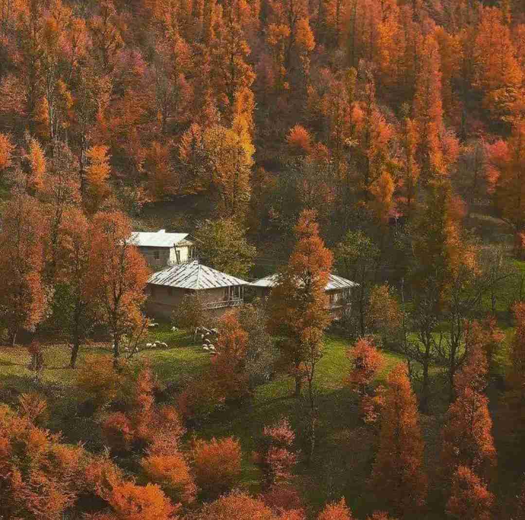  قاف (با صدای شادمهر)
