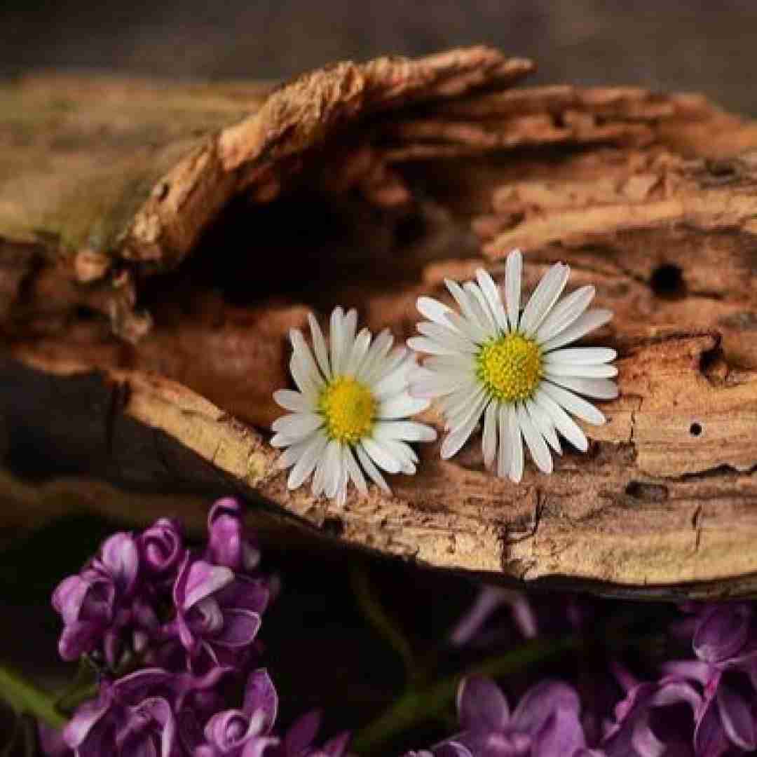  برخیز که شور محشر آمد