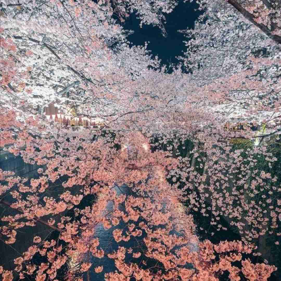  نه حال خوبی دارم نه صبری مونده واسم با صدای بچه