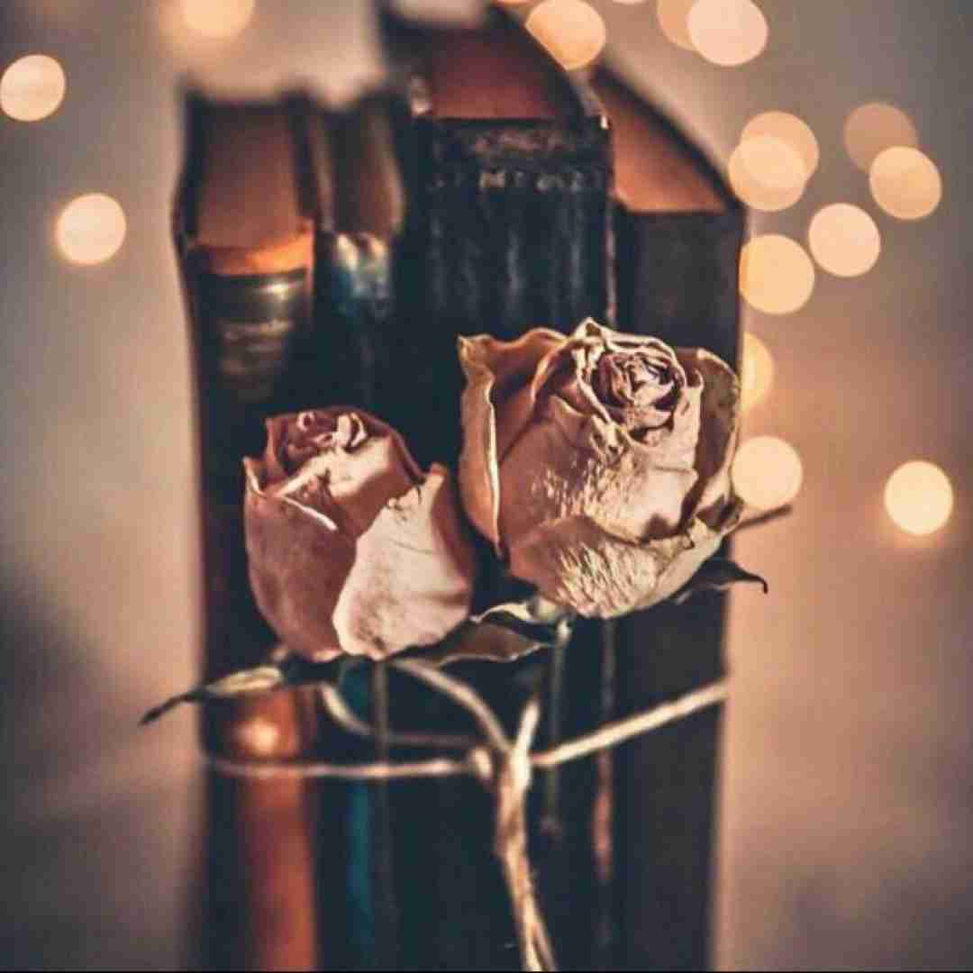  ماشین منه فداش بشمه منه همش تو خرج منه