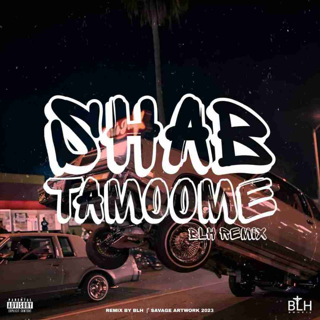 بی ال اچ ریمیکس تمومه شب