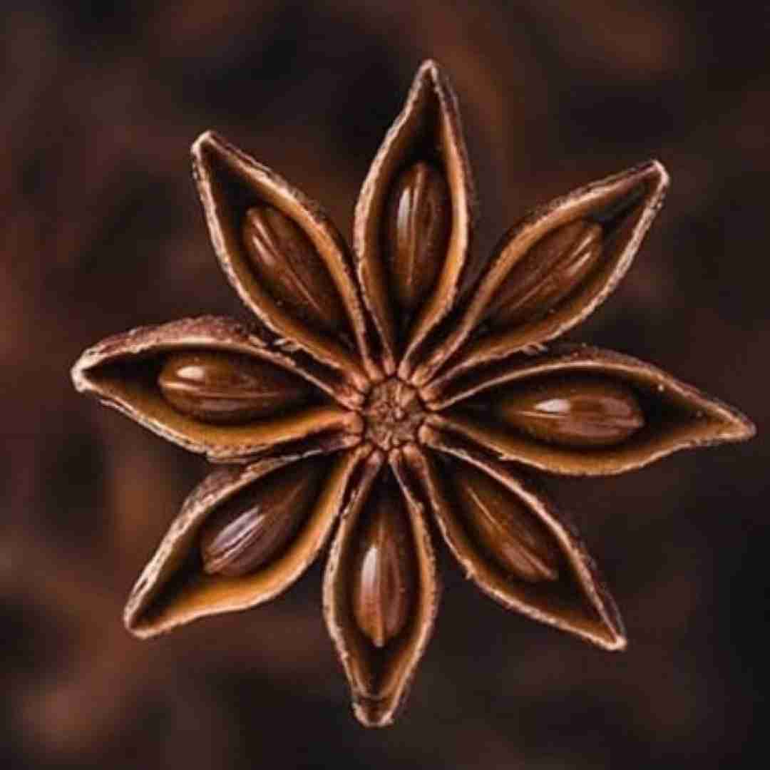  روسی من بدون تو نمیتونم زندگی کنم