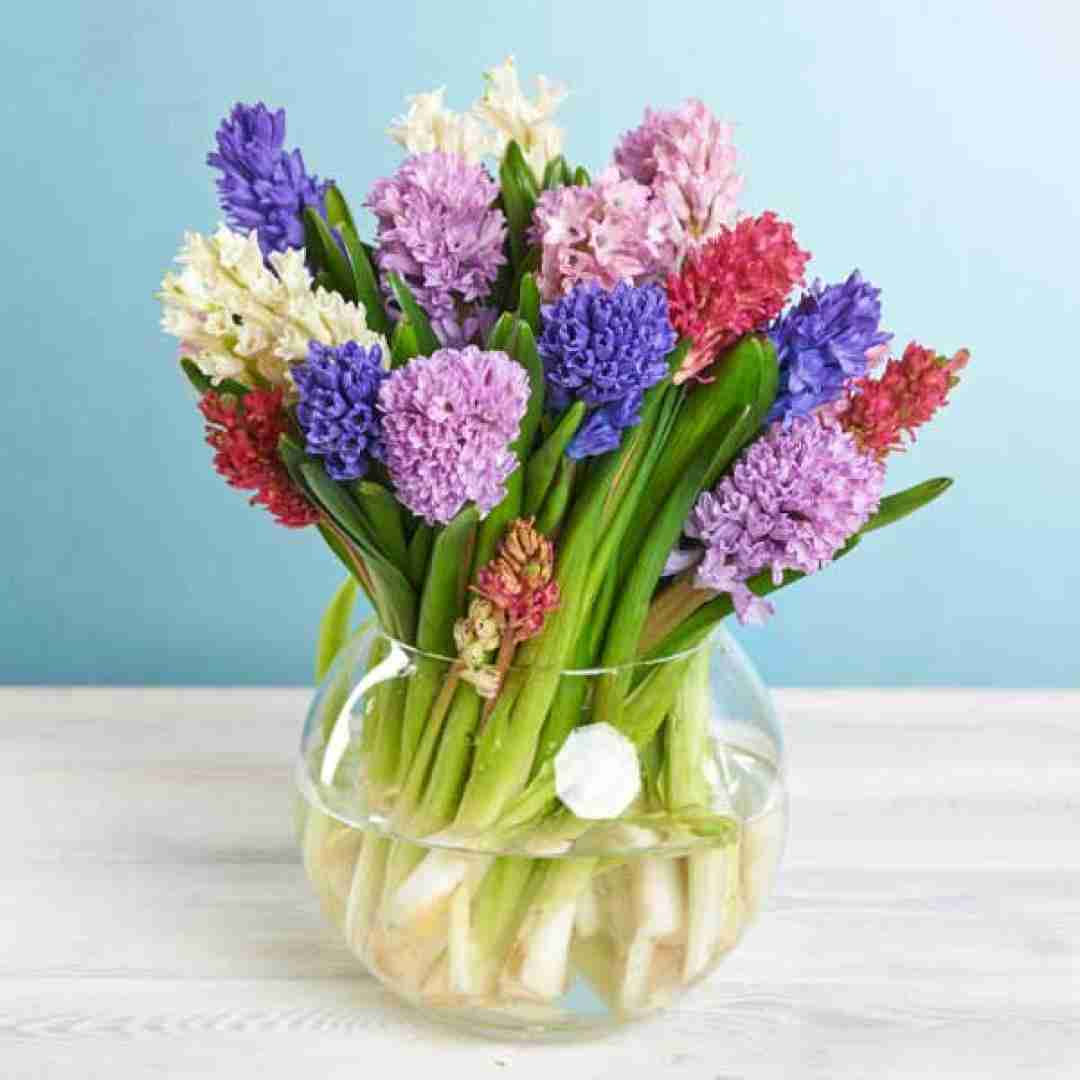  حبیبی کام تو دایرکت حساب کردم رو لایکت