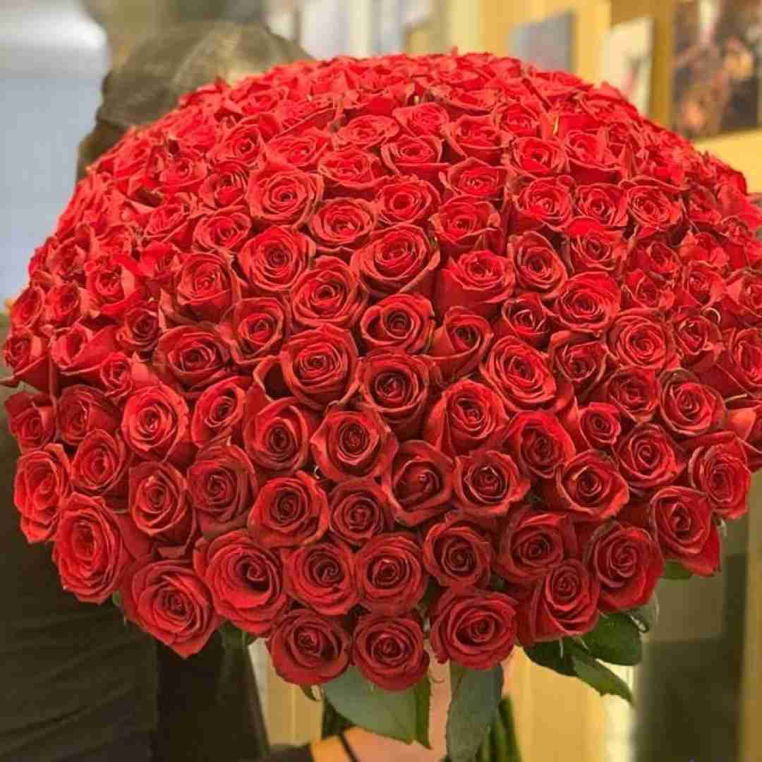  تا اینجاشو میتونم بگم چطوریه