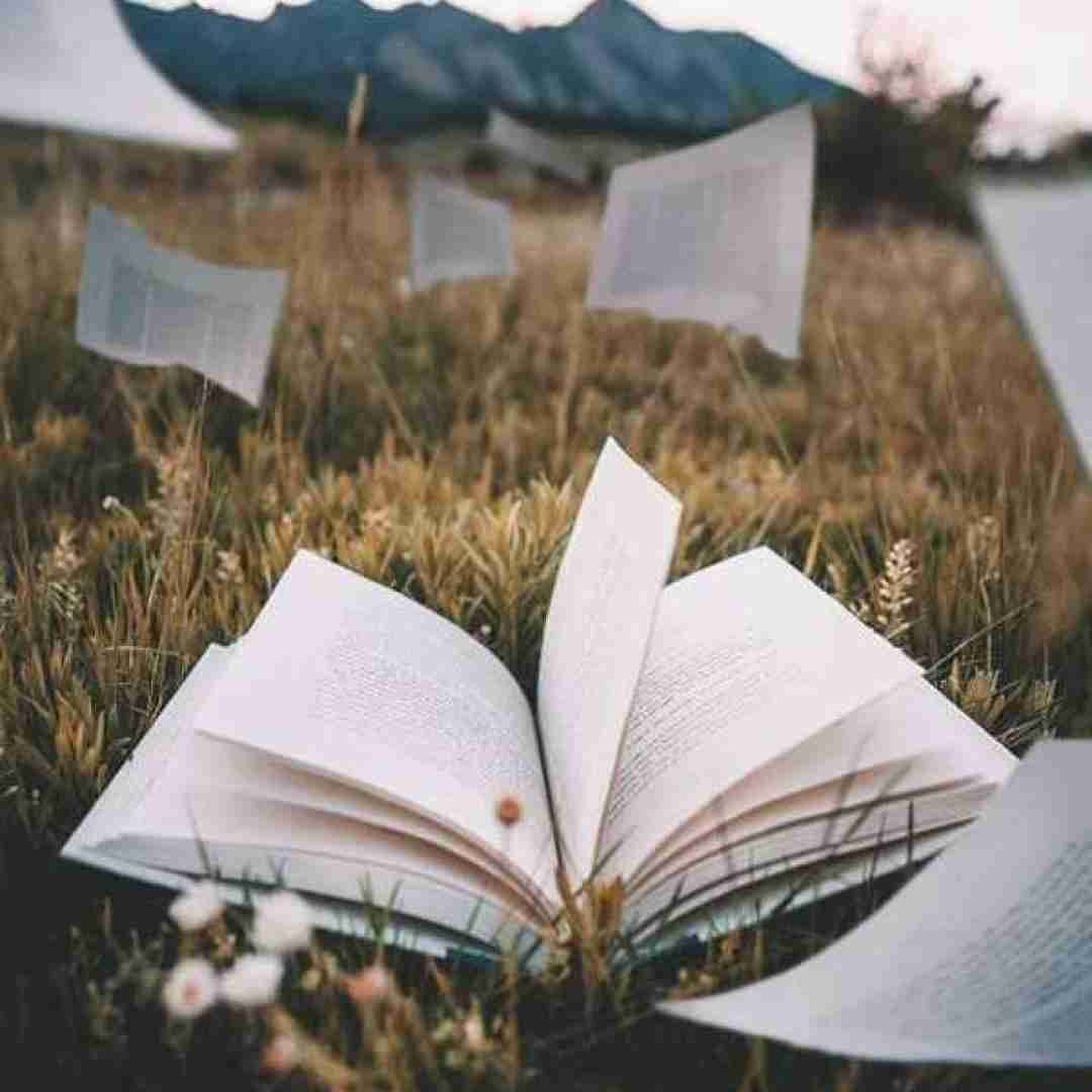  حالا که همه گنگن چرا صندوق ها تعویض همه رنگن چرا