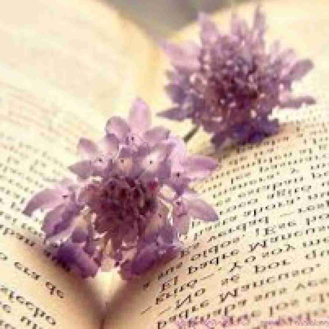  میگن بود شبیهت ولی من که ندیدم با صدای زن قدیمی