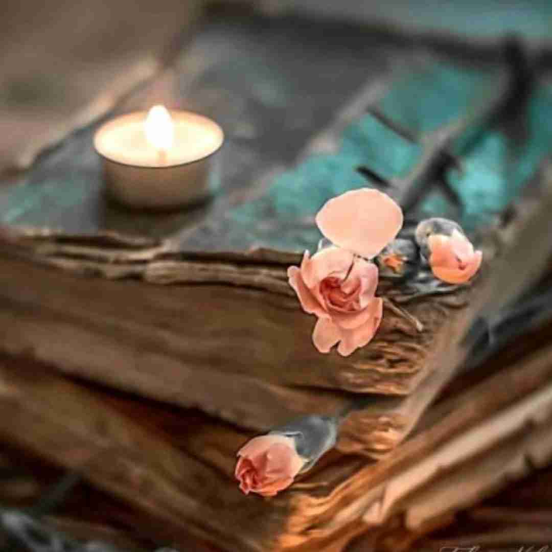  گاهی هم تلخه انگار زهر ماره