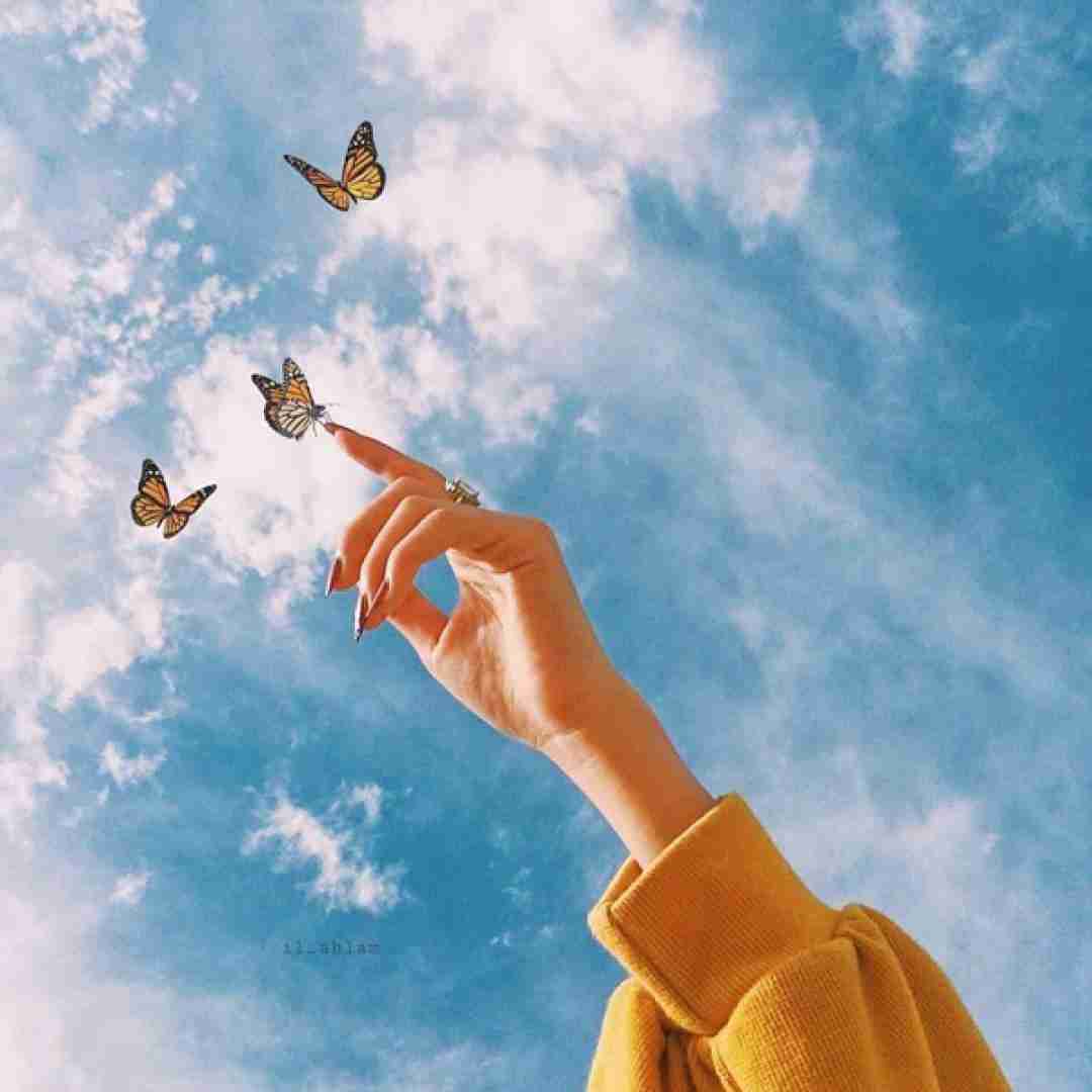  مثل عقاب تی سر بالا درمه با صدای زن