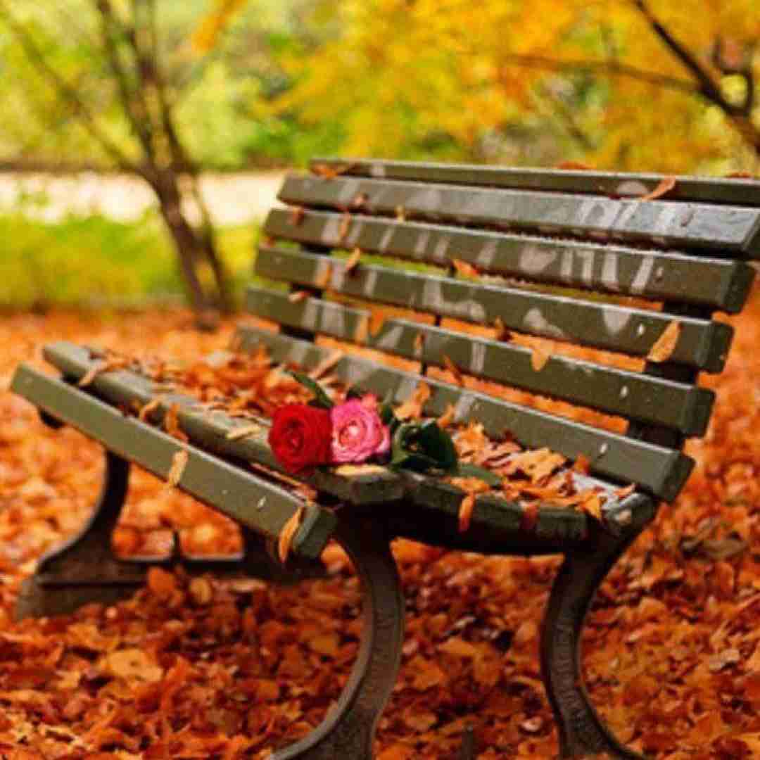 منم بیدارم نه واسه تو خرابه حالم نه مثل تو