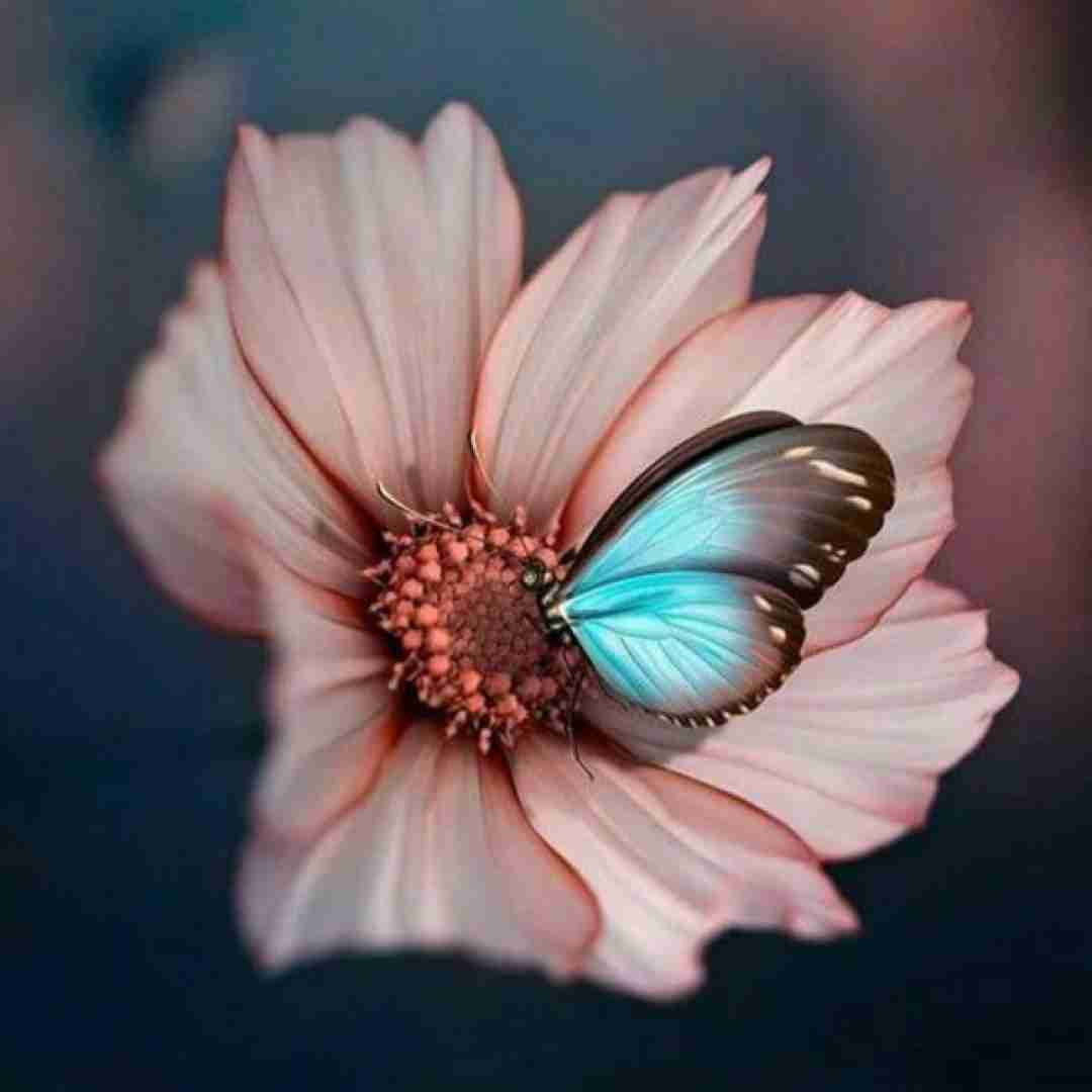 ننده به عزات مینشانم بیهوشم از درد میجوشه تو خونم