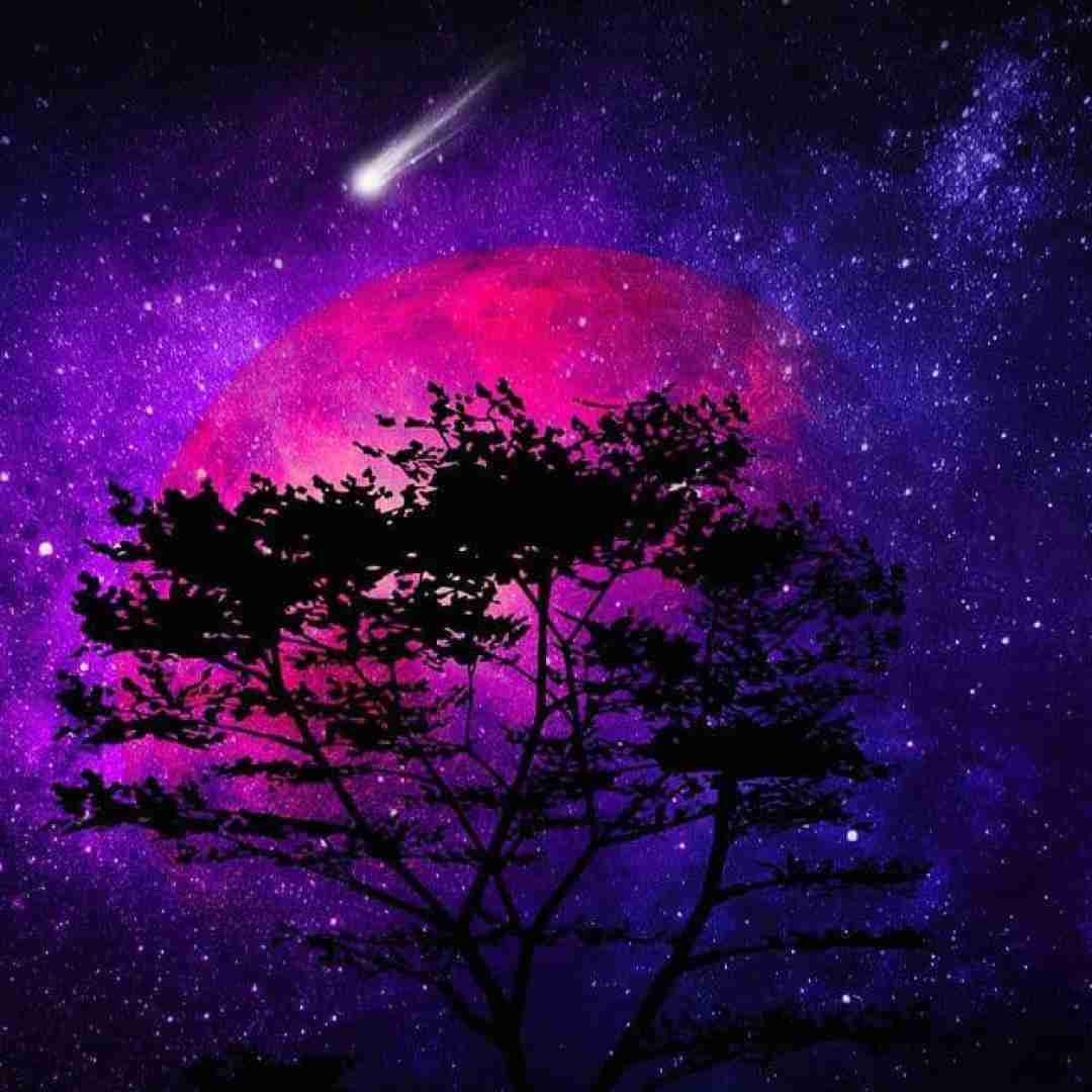  وای فلک تیرم نزن بالم شکسته با صدای پسر اینستایی