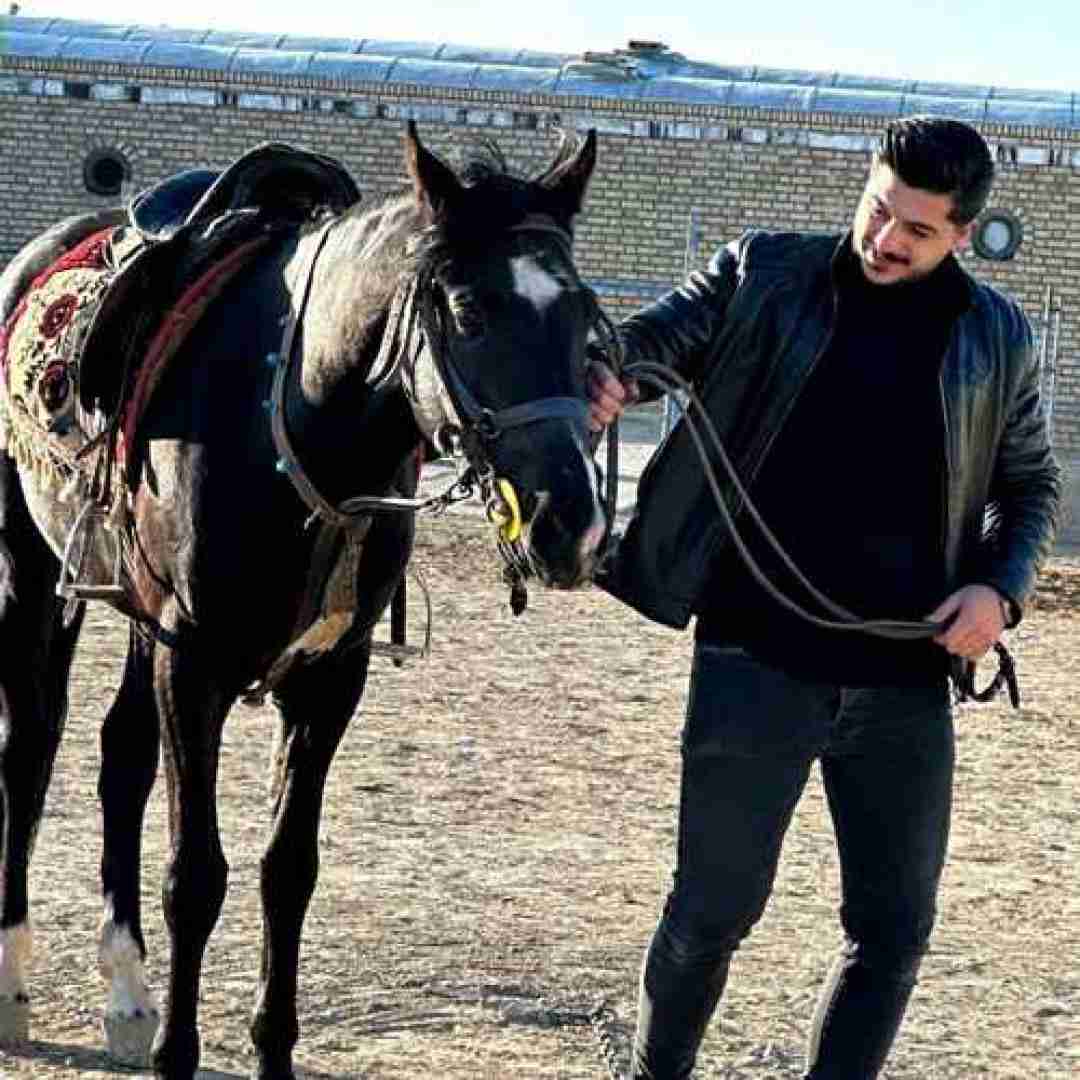 امیر سیاوشی تسلی