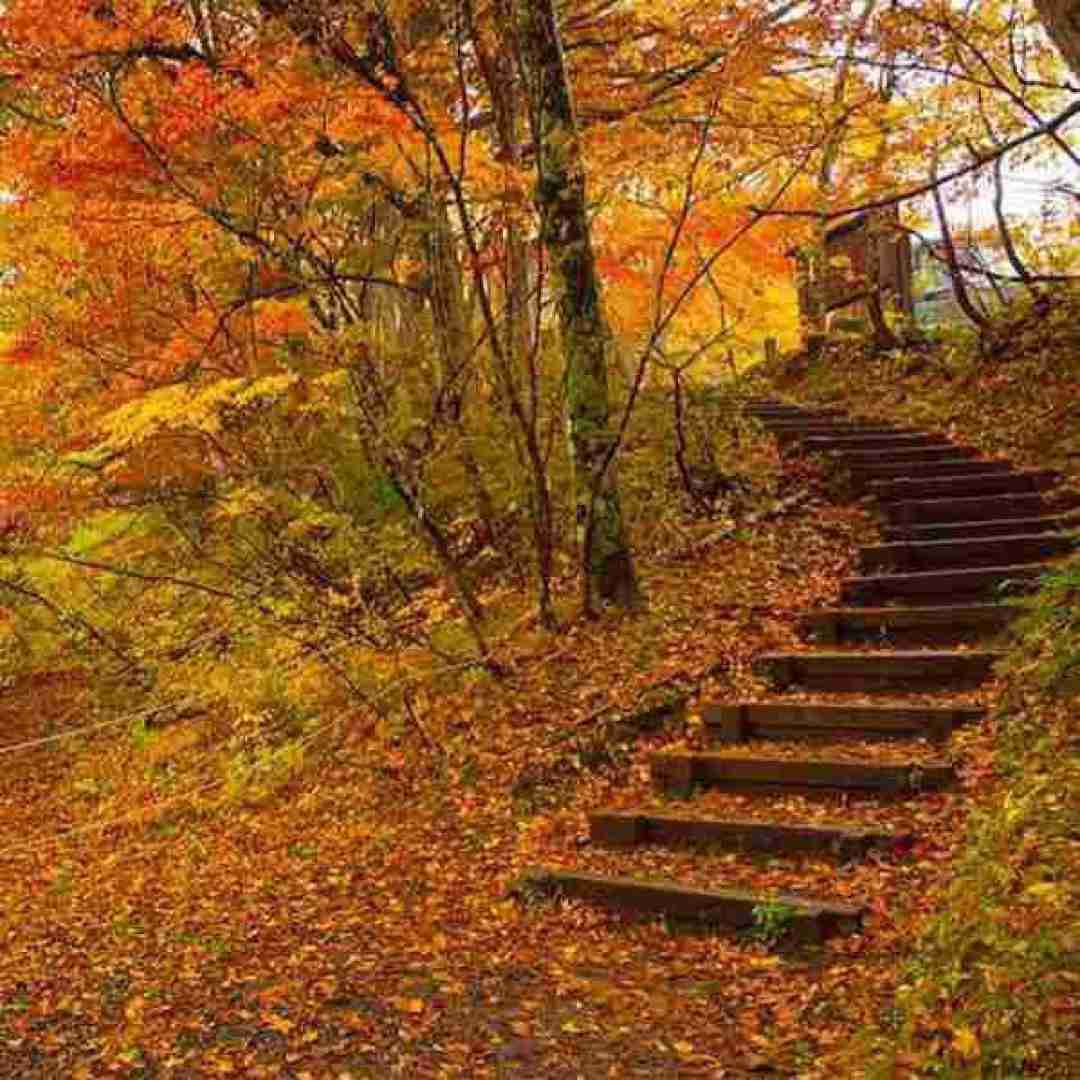  تو شدی مثل خون تو رگام حاکم قلبم نور شبام با صدای زن