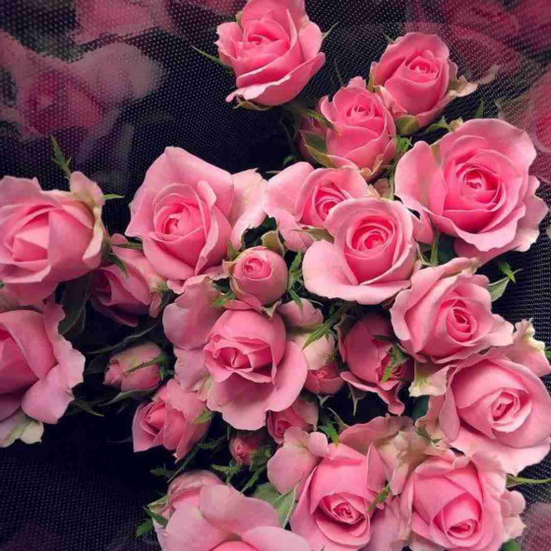 ایرج ابراهیم ثانی دلتنگی یعنی کسی نباشه