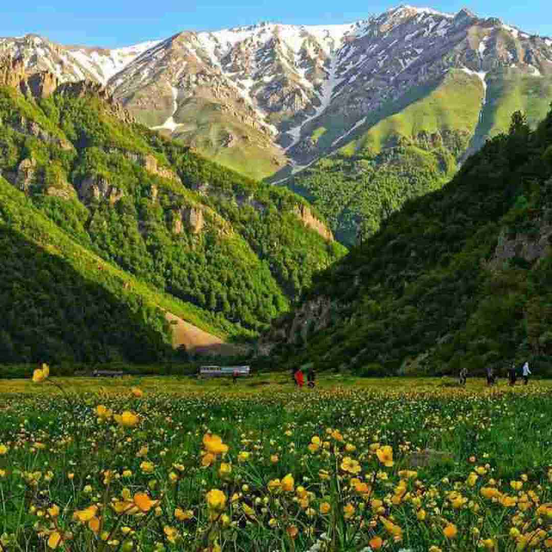  مگه صدا سلاح میتونه باشه آخه