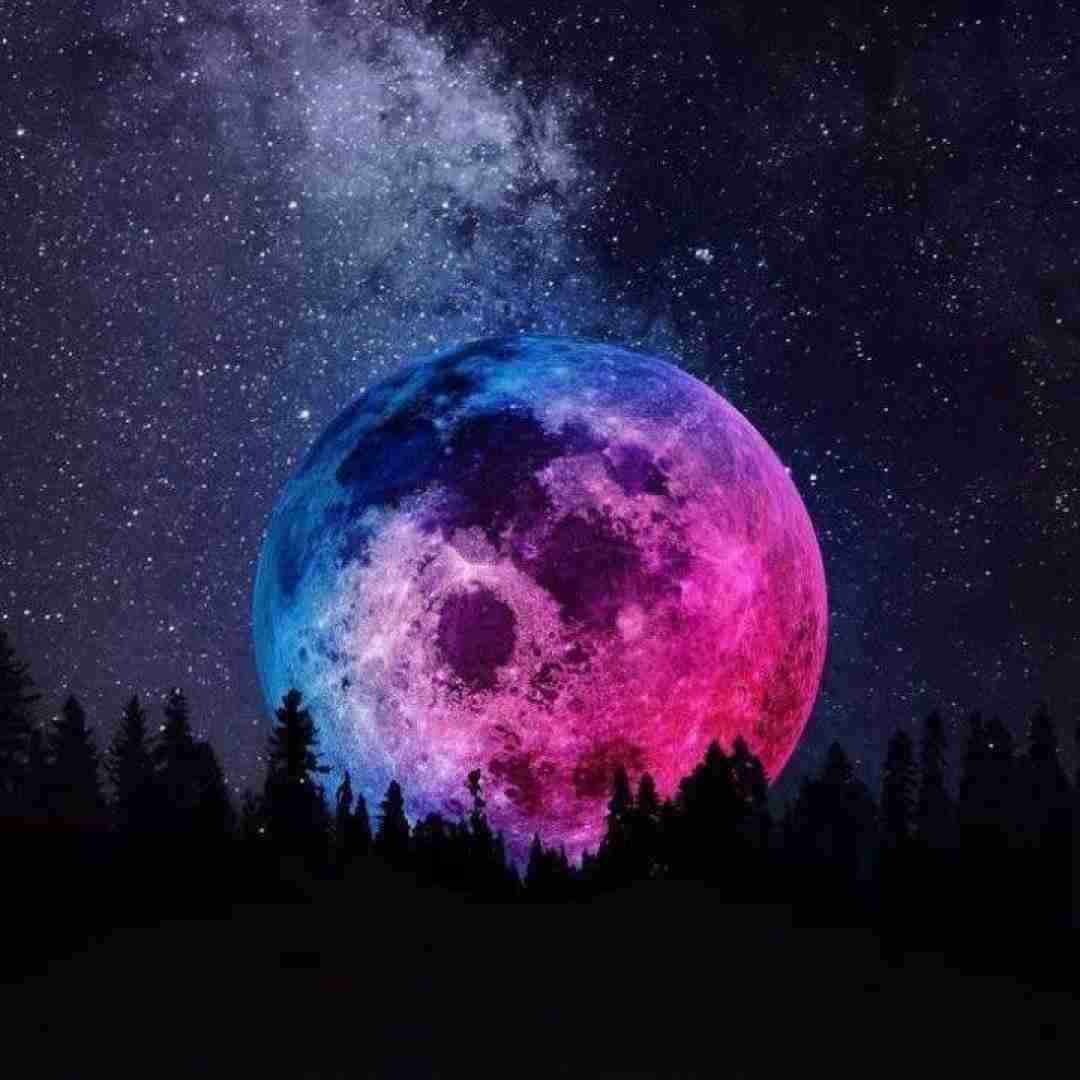 ننده به عزات مینشانم نمیدونی چقد دلم میخواد یه روز