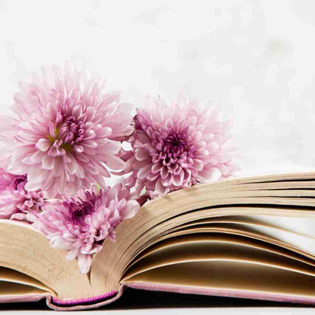  ترکی دونده ملر بانا دونده ملر