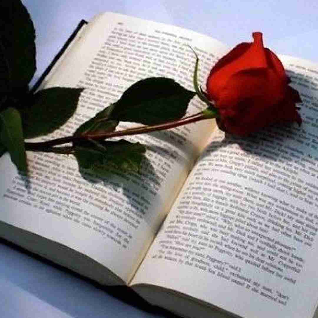  ندیدم تا حالا خدامو ولی شیطون و چرا