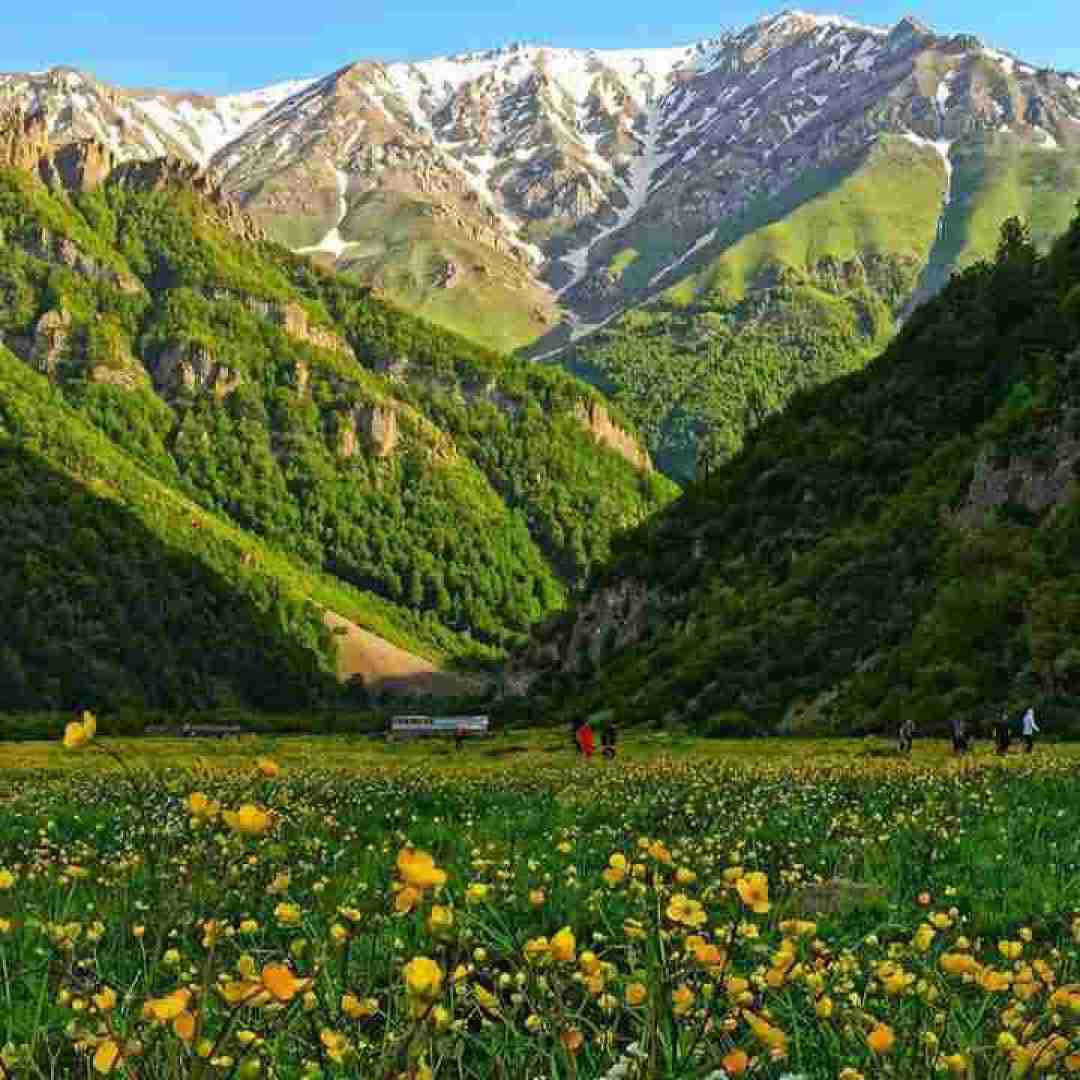 مسلم حیدریان آخی پرستو رفت و یارم داره میره