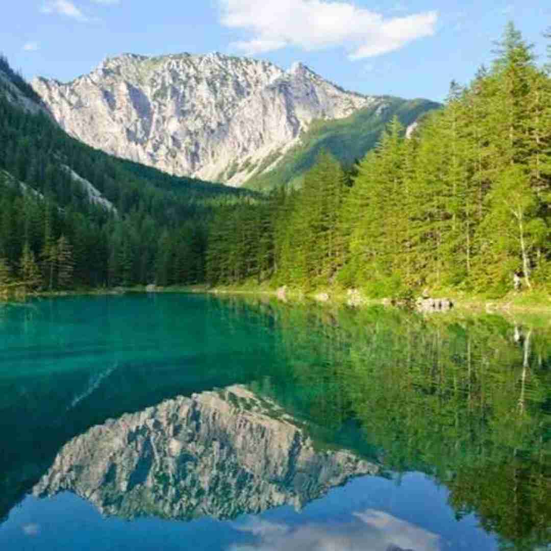  گل اومد بی وفایی یادم اومد مریم همدمه من