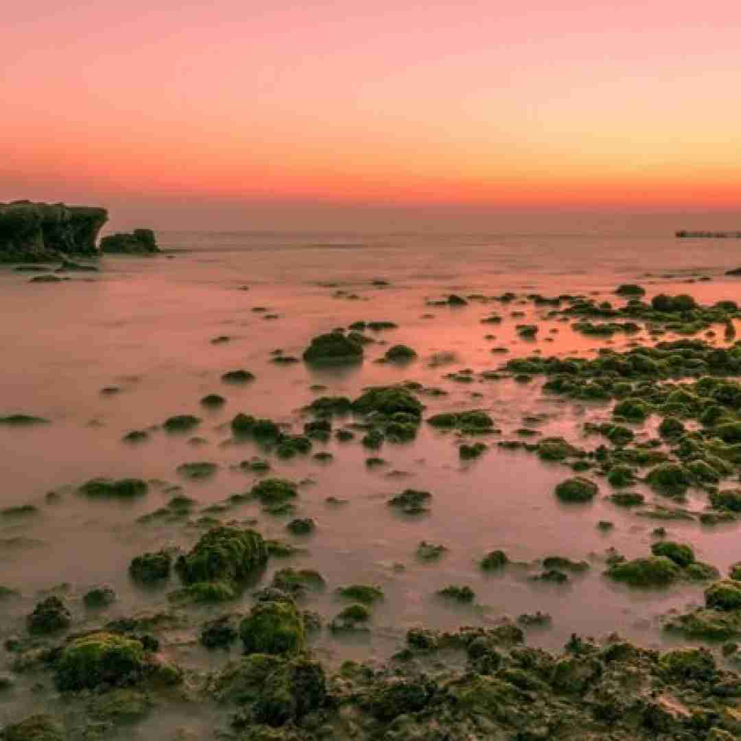  بهونه میاری میخوای از خودم دورت کنم