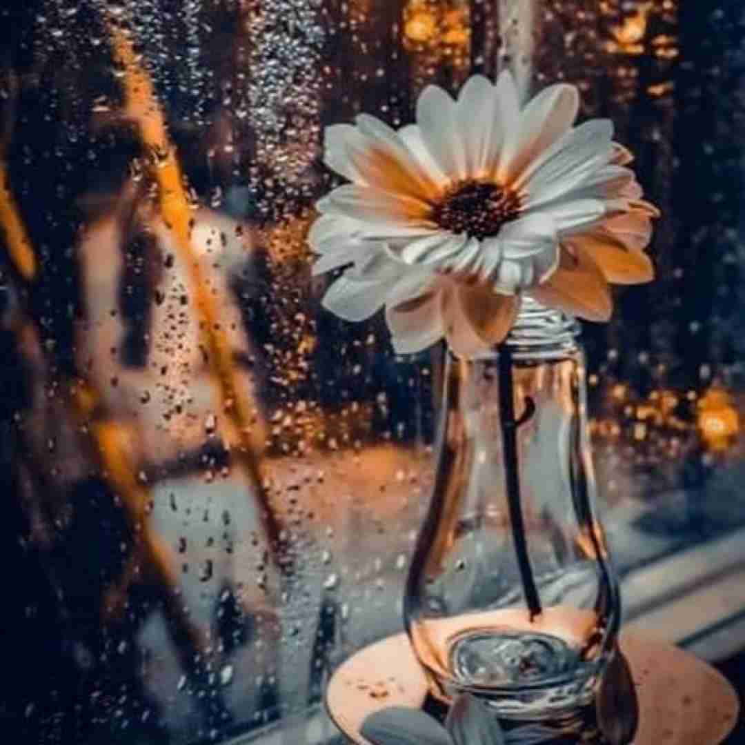  ترکی دینله با آهنگ چته تو دختر تو اینستا بهم تیکه میندازی